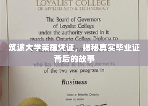 探寻筑波大学毕业证背后的荣耀历程