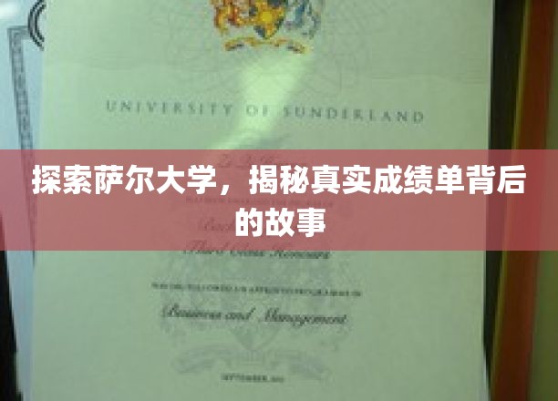 揭开萨尔大学成绩单之谜，探寻背后的真实故事