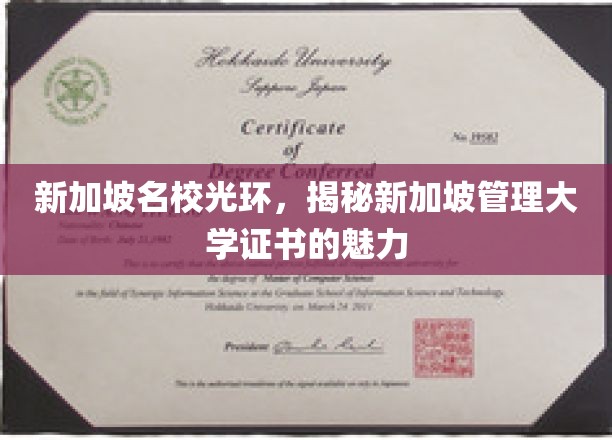 解码新加坡管理大学，证书背后的名校魅力