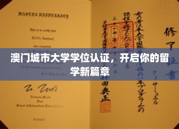 澳门城大学位认证，引领学子国际舞台新起点