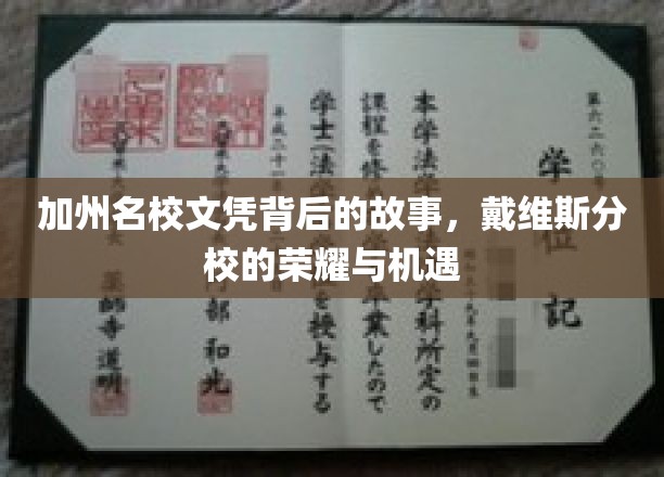 解码戴维斯，揭秘加州名校的荣耀之路