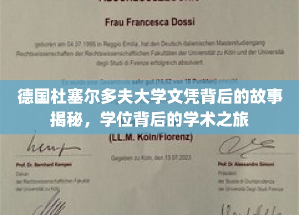 德国杜塞尔多夫大学文凭背后的故事揭秘，学位背后的学术之旅