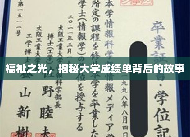 福祉之光，揭秘大学成绩单背后的故事