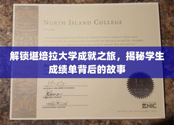 探秘堪培拉大学，揭开学生卓越成绩背后的成长轨迹