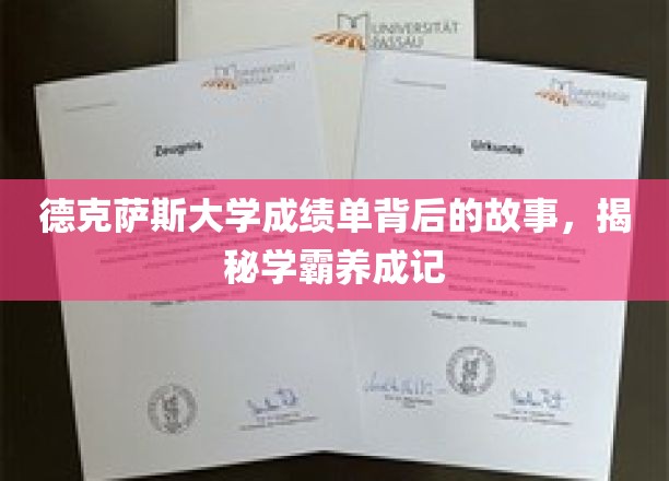 学霸背后的大学秘籍，德克萨斯大学成绩单背后的成长传奇