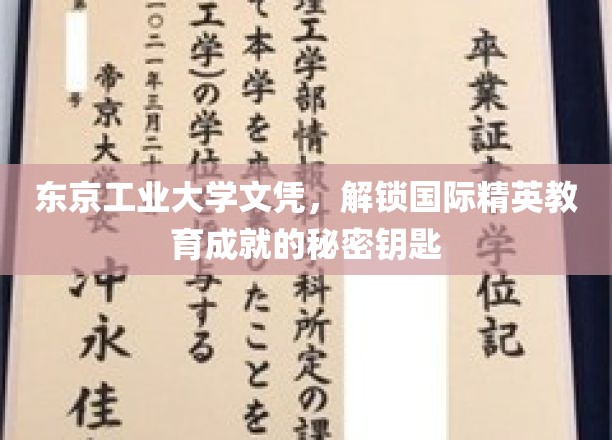 东京工业大学文凭，开启全球精英教育成就的大门