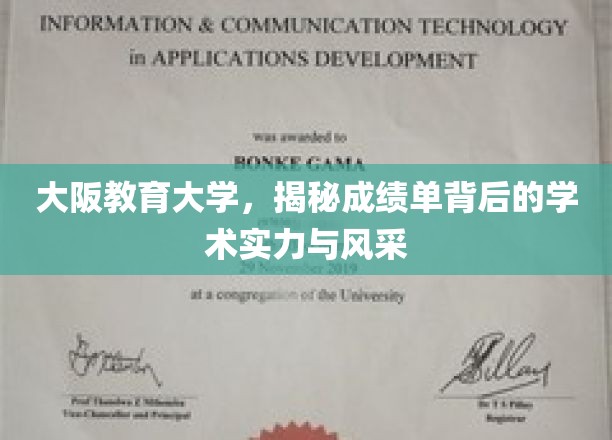 大阪教育大学，揭秘成绩单背后的学术实力与风采