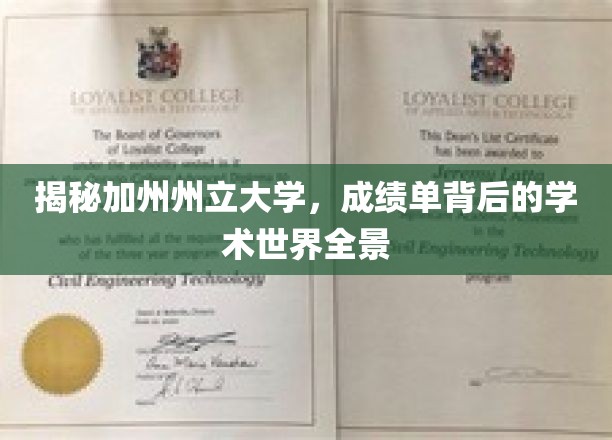 探寻加州州立大学，揭开学术成绩单背后的精彩图景