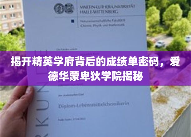 探寻精英学府的秘密，爱德华蒙卑迪学院成绩单大揭秘