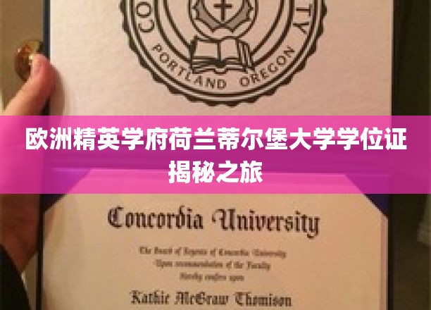 欧洲精英学府荷兰蒂尔堡大学学位证揭秘之旅
