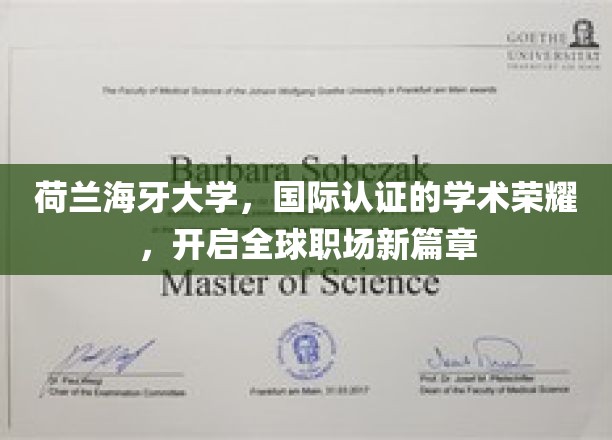 荷兰海牙大学，国际认证的学术荣耀，开启全球职场新篇章