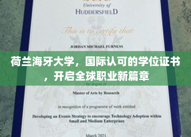 跨国梦启航，荷兰海牙大学学位，引领国际职场新纪元