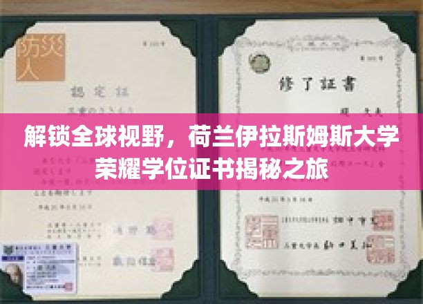 解锁全球视野，荷兰伊拉斯姆斯大学荣耀学位证书揭秘之旅