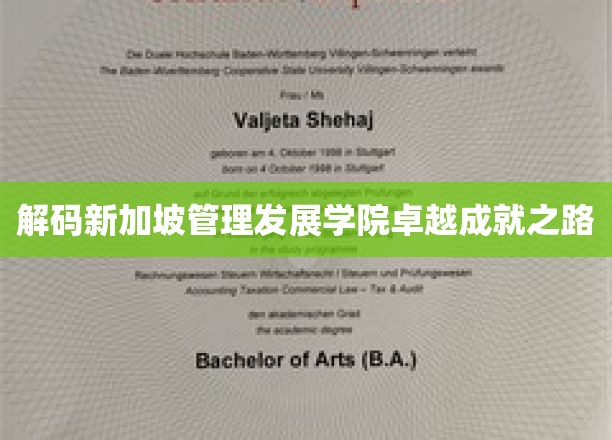 解码新加坡管理发展学院卓越成就之路