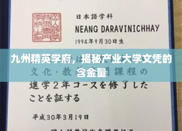 九州学府精英录，解码产业大学文凭的璀璨价值