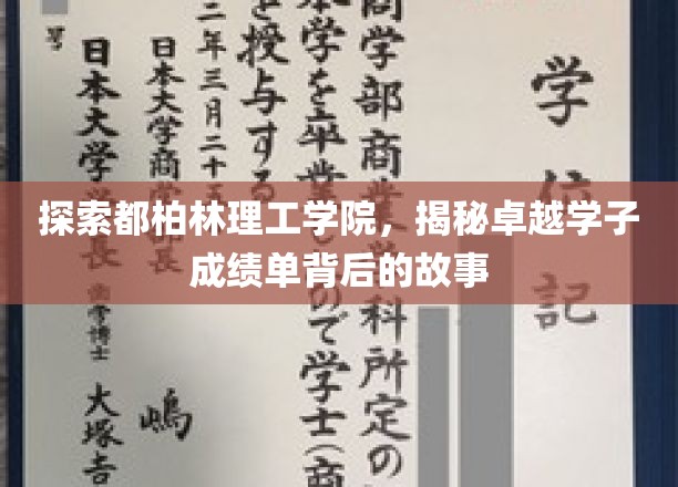 解码都柏林理工学院学霸传奇，揭秘卓越学子非凡之路