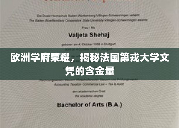 欧洲教育明珠，解码第戎大学文凭的非凡价值