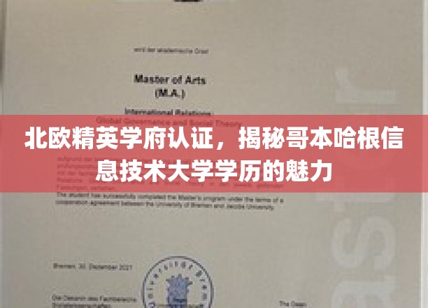 解锁北欧精英教育，哥本哈根信息技术大学学历的独特魅力