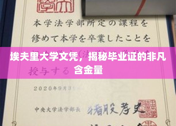 埃夫里大学文凭魅力揭秘，毕业证背后的非凡价值
