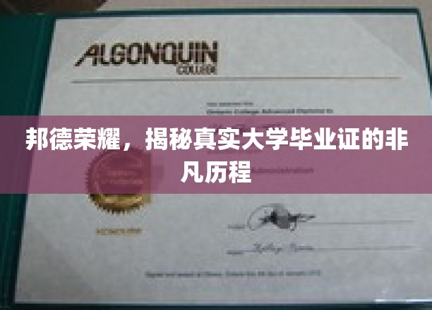 大学证书背后的传奇，邦德荣耀的认证之路