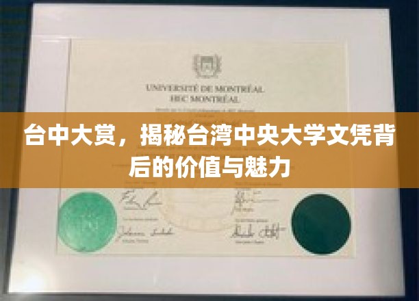 台湾中央大学文凭魅力揭秘，台中大赏背后的教育瑰宝