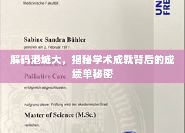 港城学府辉煌录，揭秘学术巅峰的隐秘成就之路
