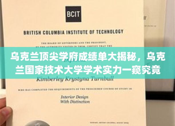 乌克兰国家技术大学，揭秘欧洲教育明珠的学术成就