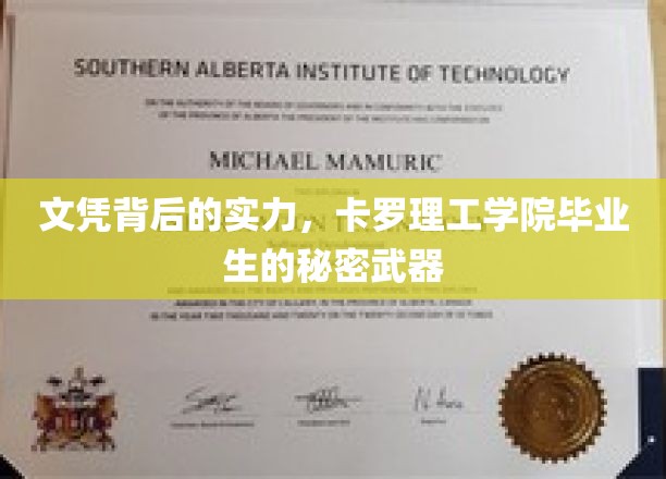 揭开卡罗理工学院毕业生职场胜出的神秘密码