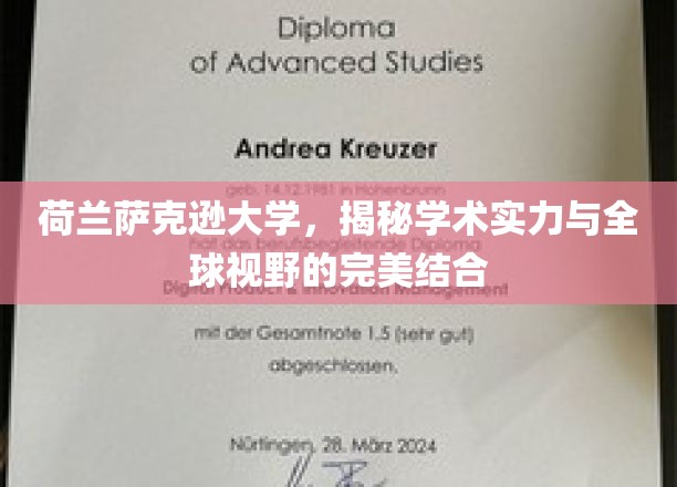 荷兰萨克逊大学，融合学术卓越与全球视角的璀璨明珠