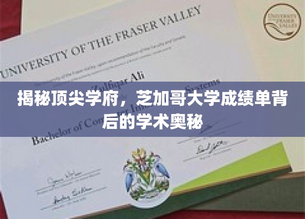 解码芝加哥大学，揭秘学霸背后的学术秘籍
