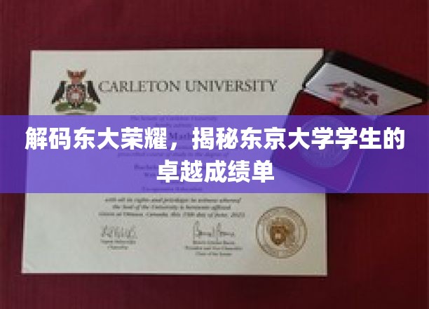 探寻东京大学卓越风采，揭秘学生背后的辉煌成绩