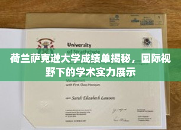 荷兰萨克逊大学成绩单揭秘，国际视野下的学术实力展示