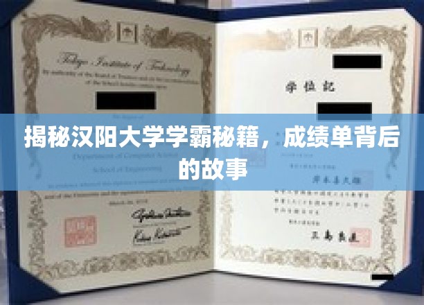 探寻汉阳学霸奥秘，揭秘成绩单背后的非凡历程