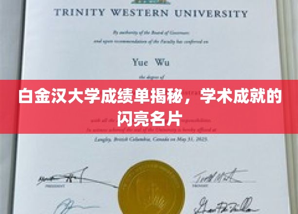 白金汉大学成绩单，窥见学术荣耀背后的真实力