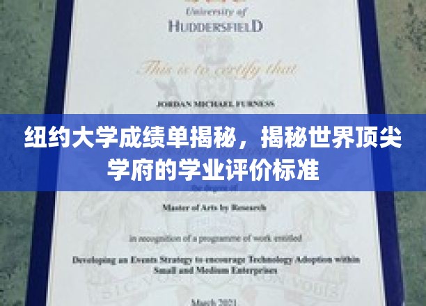 纽约大学成绩单揭秘，揭示世界顶尖学府的学业评价标准