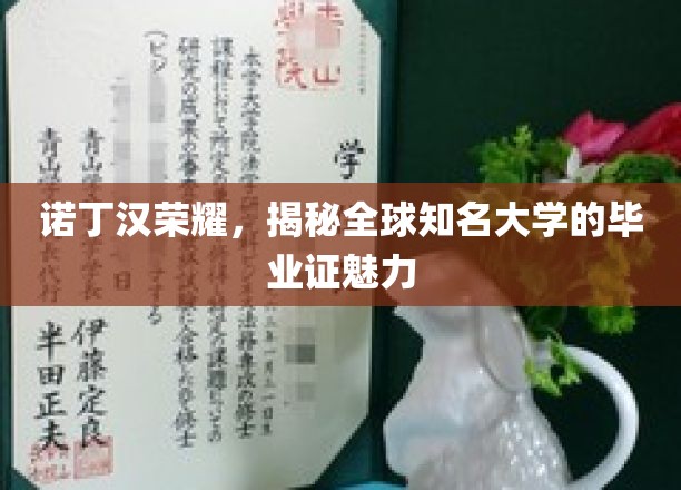 诺丁汉光环，探索世界名校毕业证书的独特魅力