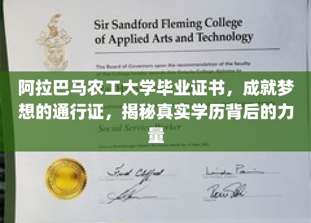 阿拉巴马农工大学证书，开启梦想之路的强力凭证