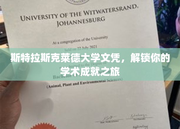 斯特拉斯克莱德荣耀，开启您的学术巅峰之旅