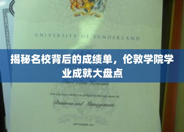 解码伦敦学院，揭秘名校学生的卓越成绩之路
