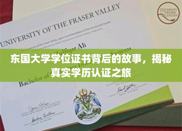 探寻东国大学学位证书背后的传奇，一场学历认证的深度揭秘之旅