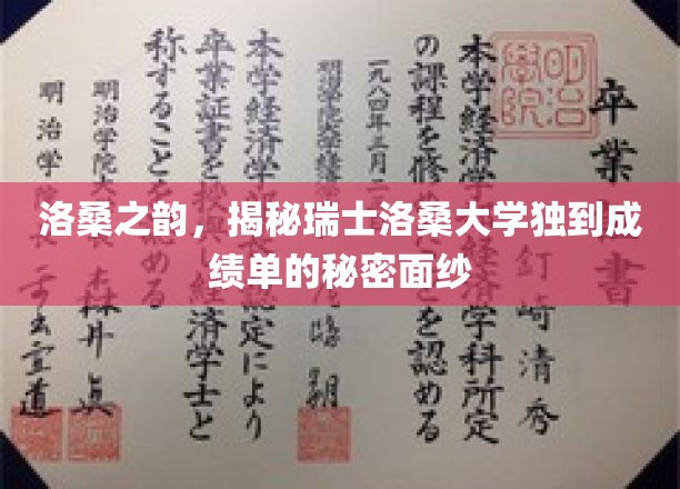 瑞士洛桑大学成绩单背后的独特魅力揭晓记