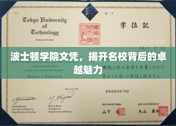 波士顿学院文凭，彰显名校卓越魅力