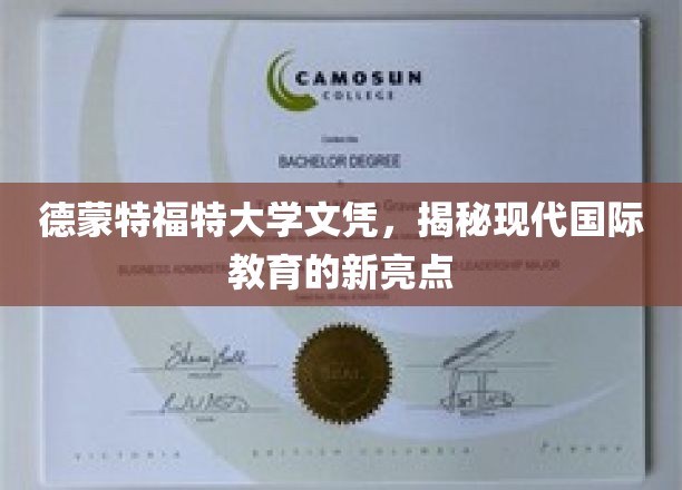 解码德蒙特福特，探索国际教育领域的璀璨明珠