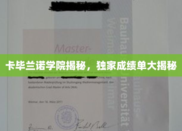 卡毕兰诺学院内部揭秘，成绩单背后的故事大公开