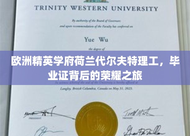 解码荷兰代尔夫特理工，探寻精英摇篮的荣耀足迹