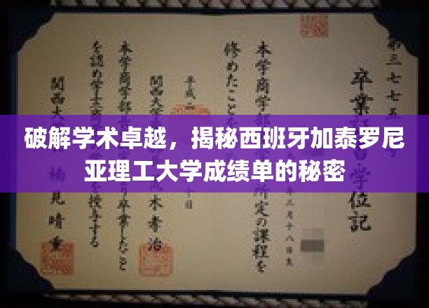 解码卓越学府，西班牙加泰罗尼亚理工大学成绩单背后的奥秘