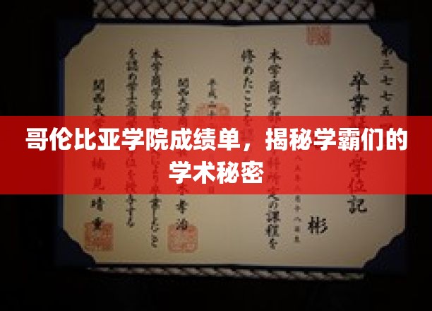哥伦比亚学院成绩单，揭秘学霸们的学术秘密