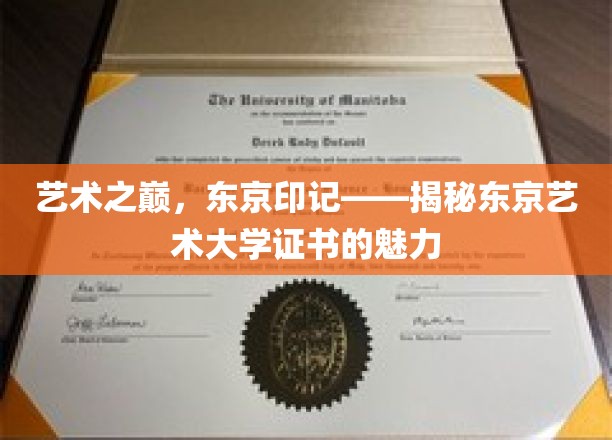 艺术之巅，东京印记——揭秘东京艺术大学证书的魅力