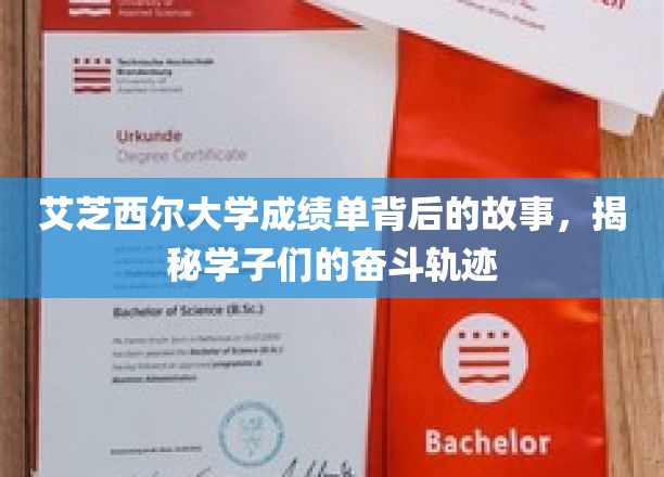 艾芝西尔学子足迹，揭开成绩单背后的奋斗篇章