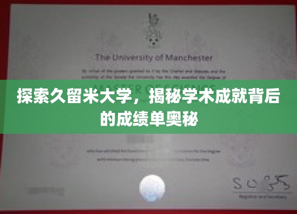 解锁久留米大学，探寻卓越学术背后的真实档案秘密